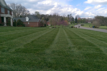 Lawn & Garden Care